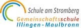 CT Thermoflasche - 500ml - weiß - Schule am Stromberg - Logo
