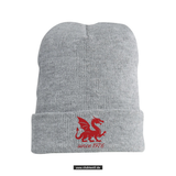 Clique Strickmütze - grau - Mannheim Feudenheim Gymnasium - Logo Drache