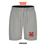 Clique BASIC Active Short - Kinder - grau meliert - Mannheim Feudenheim Gymnasium - Logo Drache